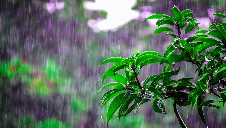 Recife, chuva e a Copa