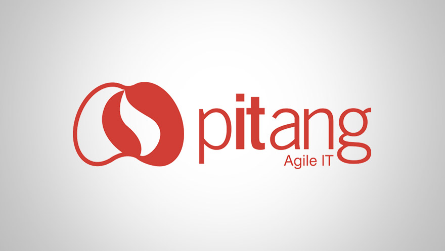 Janguiê Diniz adquire participação na Pitang Agile IT