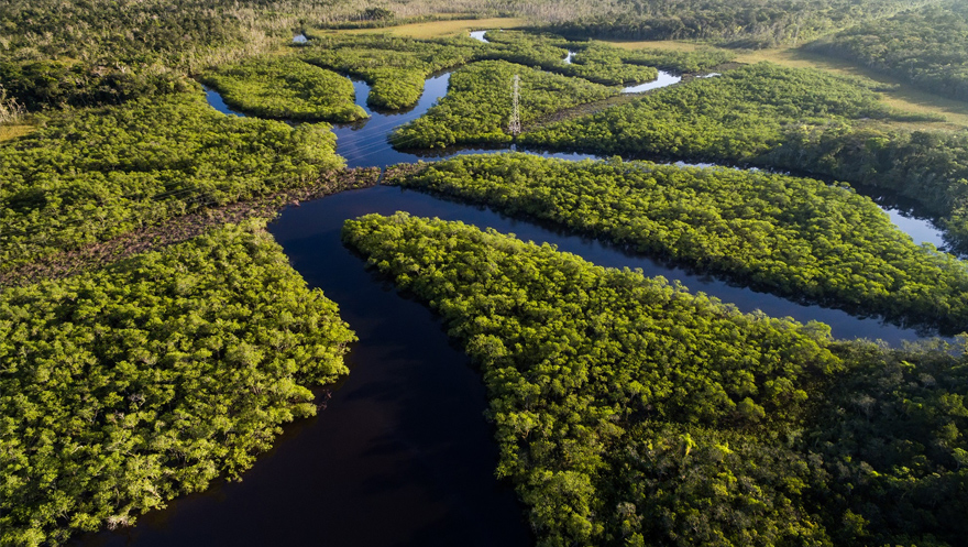 Todos pela Amazônia